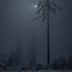 Bare tree in foggy winter landscape with moon