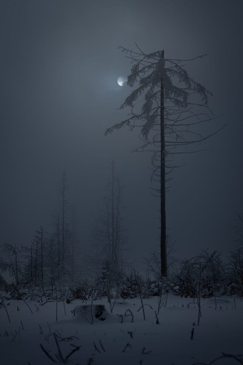 The Longest Night